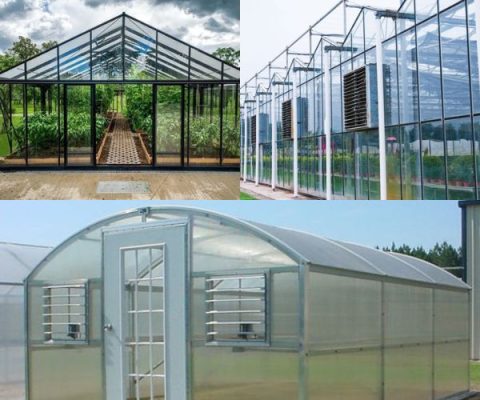 tấm polycarbonate sử dụng trong xây dựng nhà kính Tấm polycarbonate sử dụng trong xây dựng nhà kính