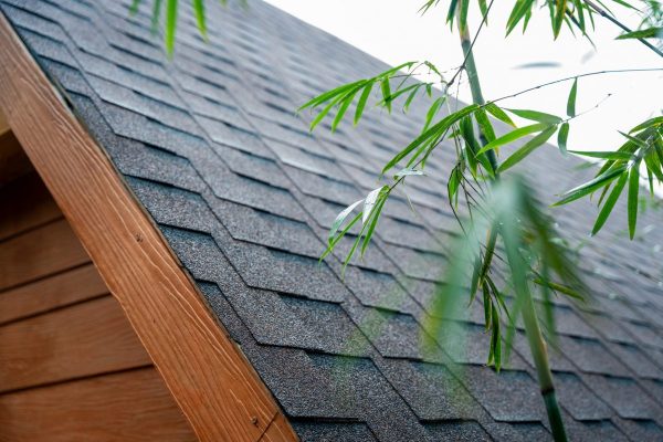 315019763 168349072474423 5731205524383213162 n 1200x800 1