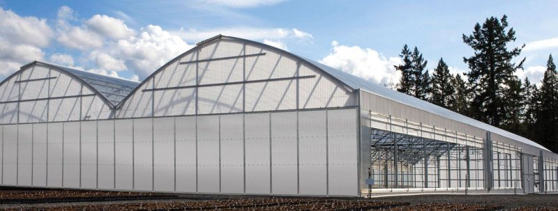 Mẫu nhà kính bằng tấm polycarbonate và màng PE Mẫu nhà kính bằng tấm polycarbonate và màng PE