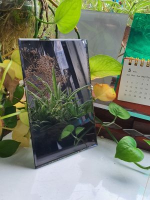 tấm mica gương màu bạc tấm mica gương màu bạc