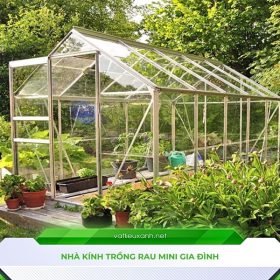 So sánh nhà lưới và nhà kính đâu mới là lựa chọn đúng
