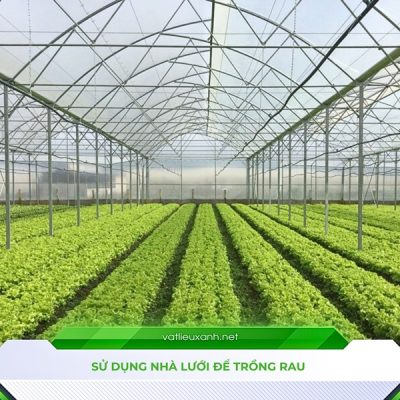 So sánh nhà lưới và nhà kính đâu mới là lựa chọn đúng nhà kính màng PE kết hợp tấm poly trong trồng rau củ