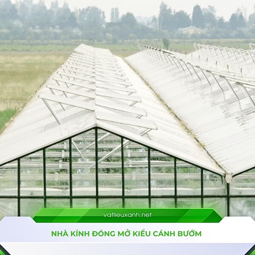 So sánh nhà lưới và nhà kính đâu mới là lựa chọn đúng So sánh nhà lưới và nhà kính đâu mới là lựa chọn đúng