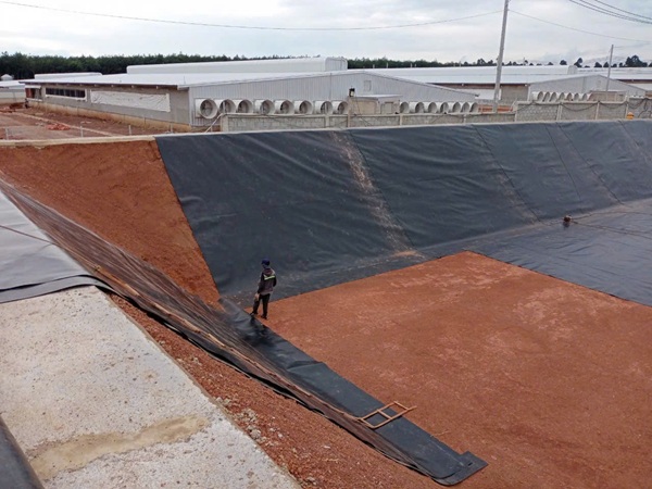 Bạc HDPE được tin dùng lót ao, hồ nuôi trồng thủy sản